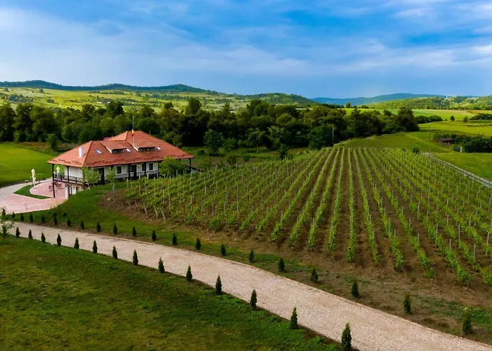 Pensiunea SonnenhofPensiune